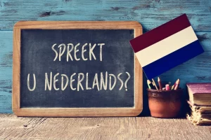 Nederlands op de werkplek: waarom het essentieel is voor professionele groei